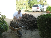 servicio de leña de encina para chimeneas