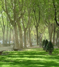 parque urbano