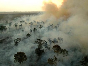 incendio recien apagado